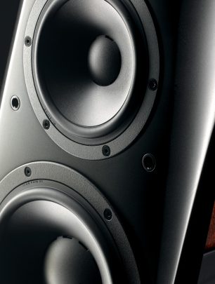 dynaudio c4 platinum detail1