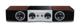 dynaudio evidence center rosewood