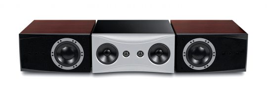 dynaudio evidence center rosewood