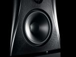 dynaudio evidence platinum mid section