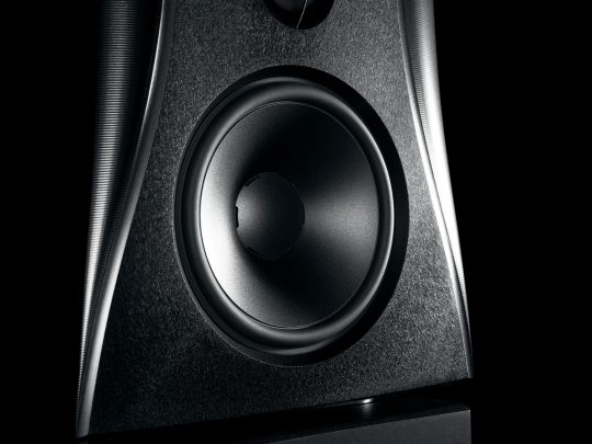 dynaudio evidence platinum mid section