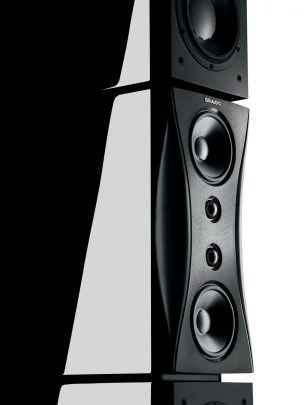 dynaudio evidence platinum module