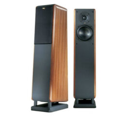 chario_pegasus_thumb